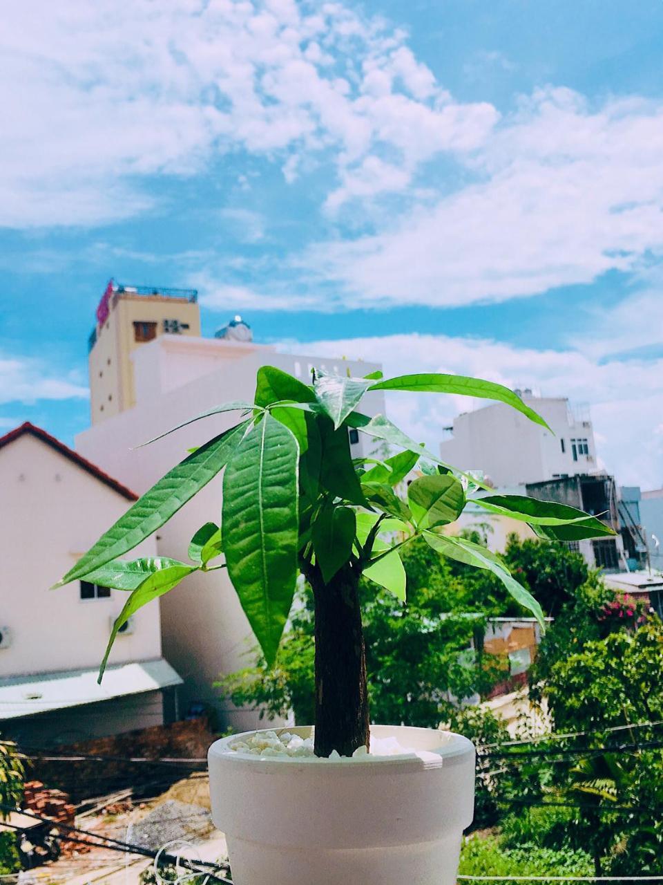 Huha Home - Danang Exteriér fotografie